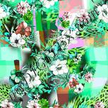 Colour:C