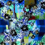 Colour:F