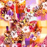 Colour:J
