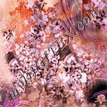 Colour:J