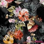 Colour:A