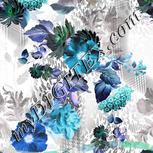 Colour:F