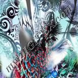Colour:F