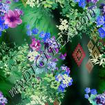 Colour:A