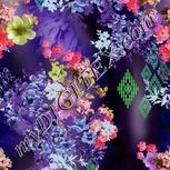 Colour:C