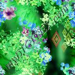 Colour:K