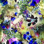 Colour:A