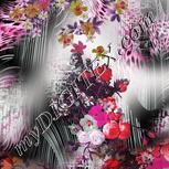 Colour:B