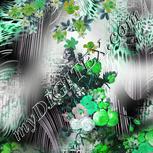 Colour:C