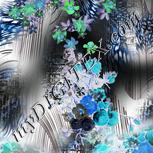 Colour:F
