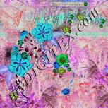 Colour:F