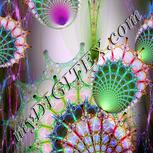 Colour:B