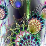 Colour:F