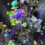 Colour:D