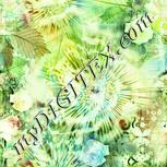 Colour:K