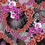 Colour:B