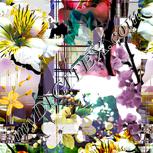 Colour:A
