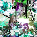 Colour:C