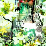 Colour:K