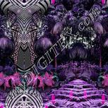 Colour:B