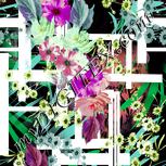 Colour:B
