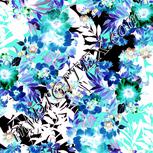 Colour:F
