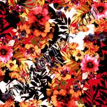 Colour:J