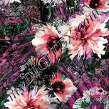Colour:B