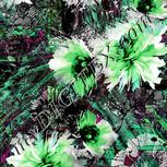 Colour:C