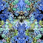 Colour:F
