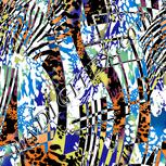 Colour:F