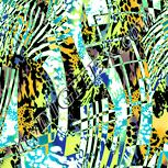 Colour:K