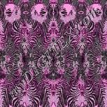 Colour:B
