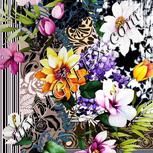 Colour:A