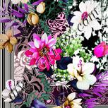 Colour:B