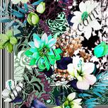 Colour:C