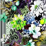 Colour:D