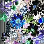 Colour:F