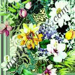 Colour:K