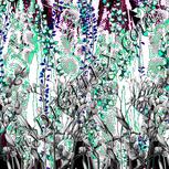 Colour:C
