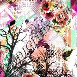 Colour:A