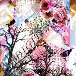 Colour:B