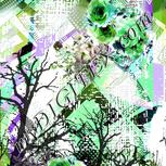 Colour:C