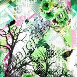 Colour:D