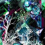 Colour:F