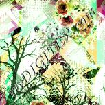 Colour:K