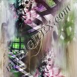 Colour:B