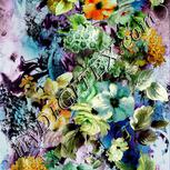 Colour:A