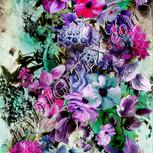 Colour:B