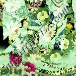 Colour:K